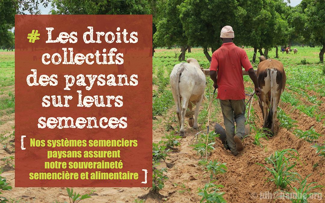 Journal "Les droits collectifs des paysans sur leurs semences