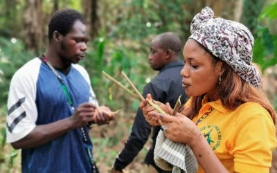 Engager les jeunes à la protection et promotion des systèmes semenciers paysans en Afrique