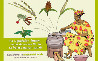 Consommer la biodiversité locale pour mieux se nourrir !