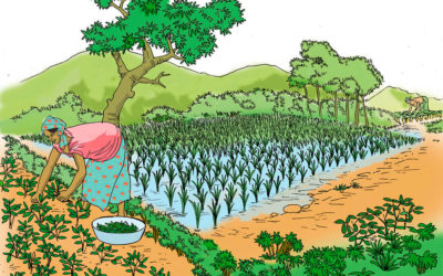 Pourquoi consommer la biodiversité locale pour mieux se nourrir