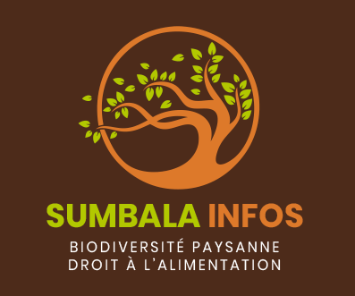 LogoSumbala_Marron