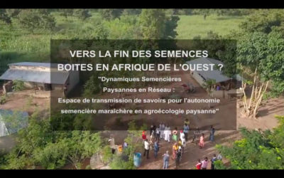 Vers la fin des semences boites en Afrique de l’Ouest